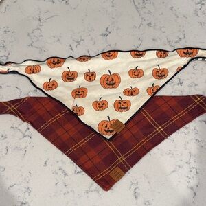 The Foggy Dog Pumpkin and Plaid Bandana Set